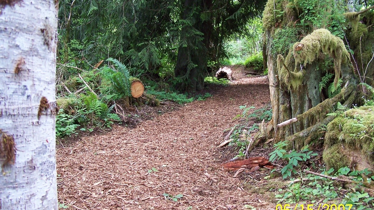Photo of Others in Port Angeles
