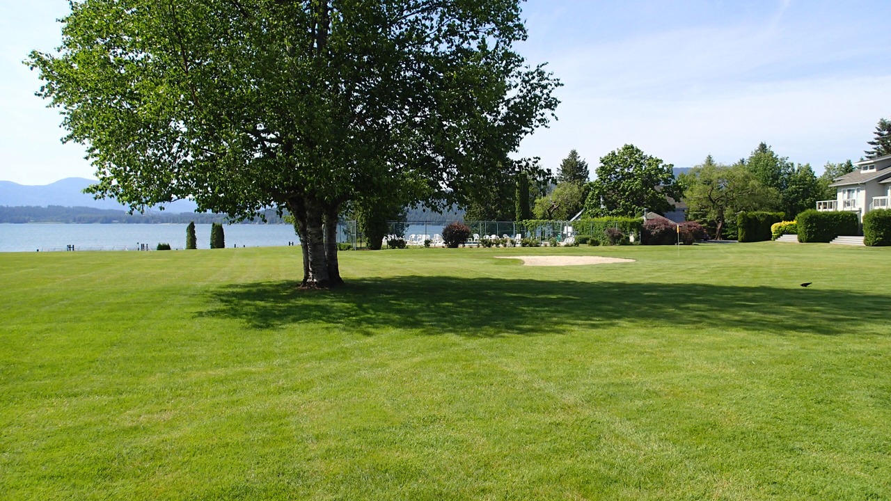 Photo of Others in Sandpoint
