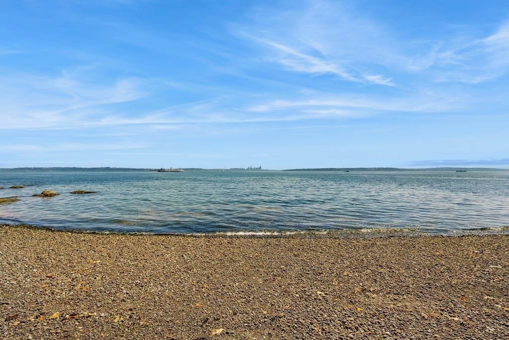 Photo of Others in Bainbridge Island