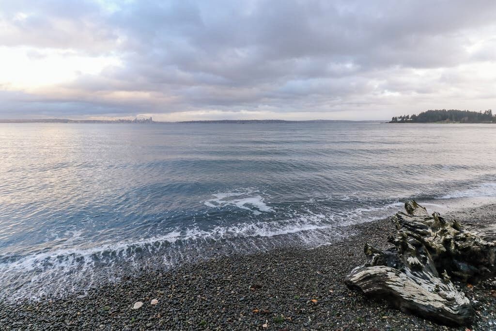 Photo of Others in Bainbridge Island
