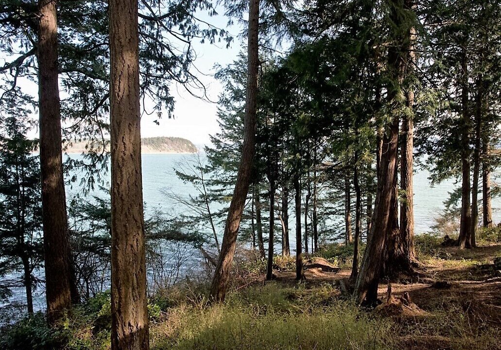 Photo of Others in Lummi Island