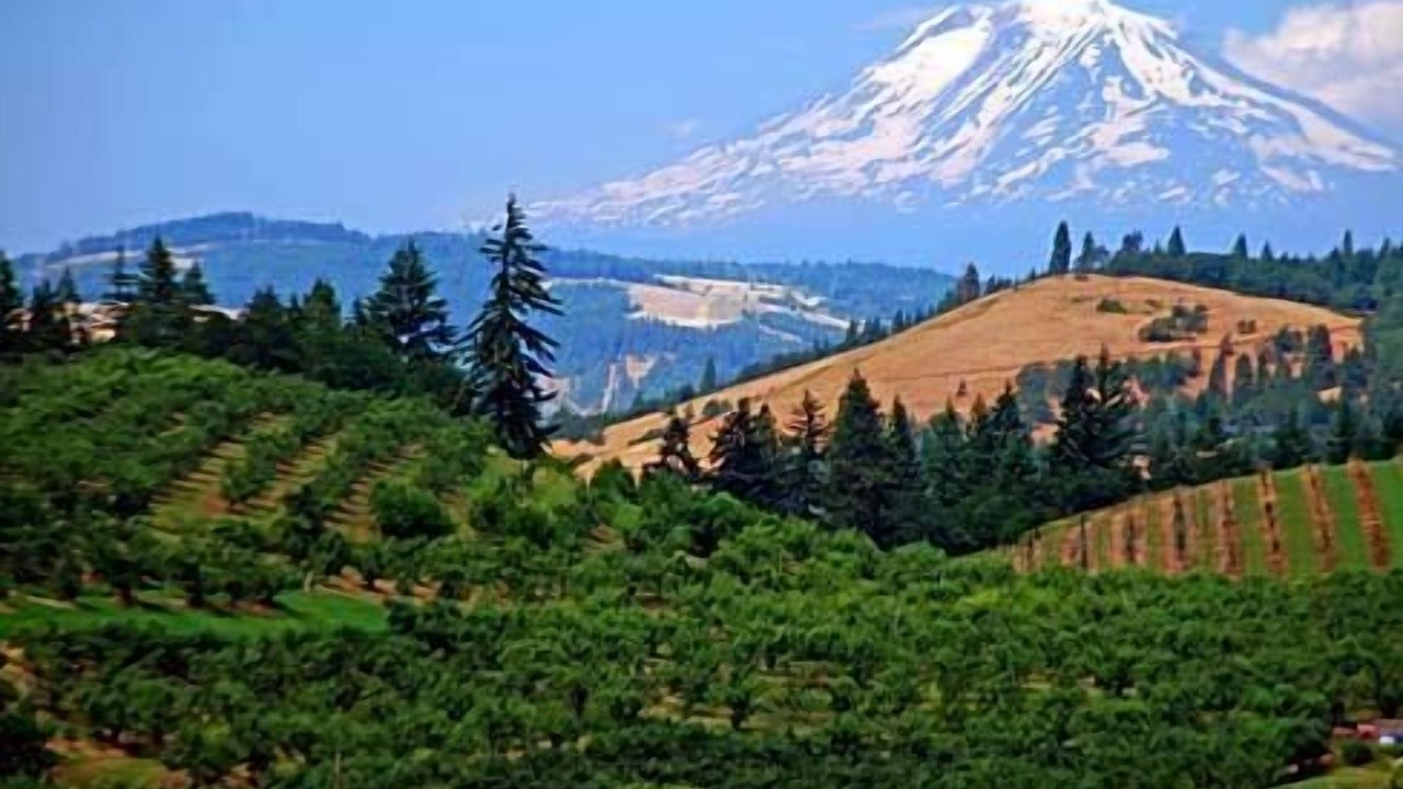 Photo of Others in Hood River