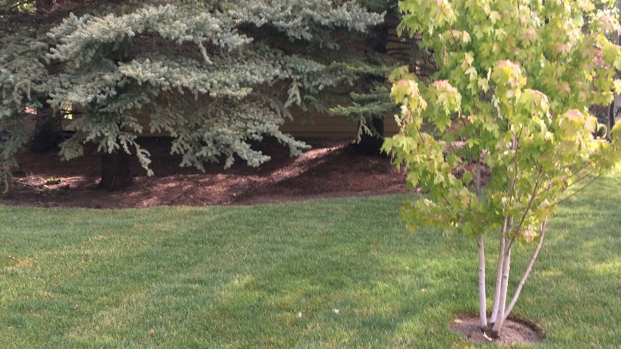 Photo of Others in Elkhorn Village