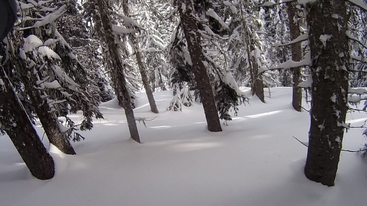 Photo of Others in Sandpoint