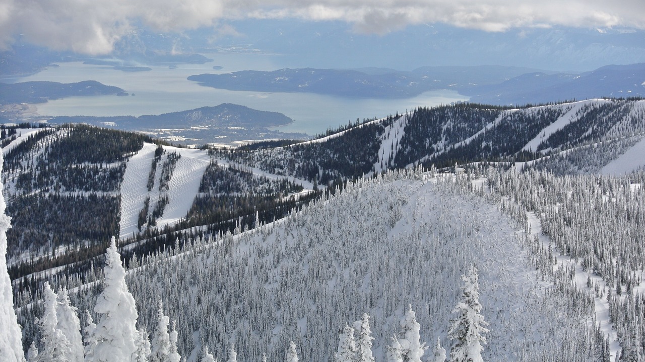 Photo of Others in Sandpoint