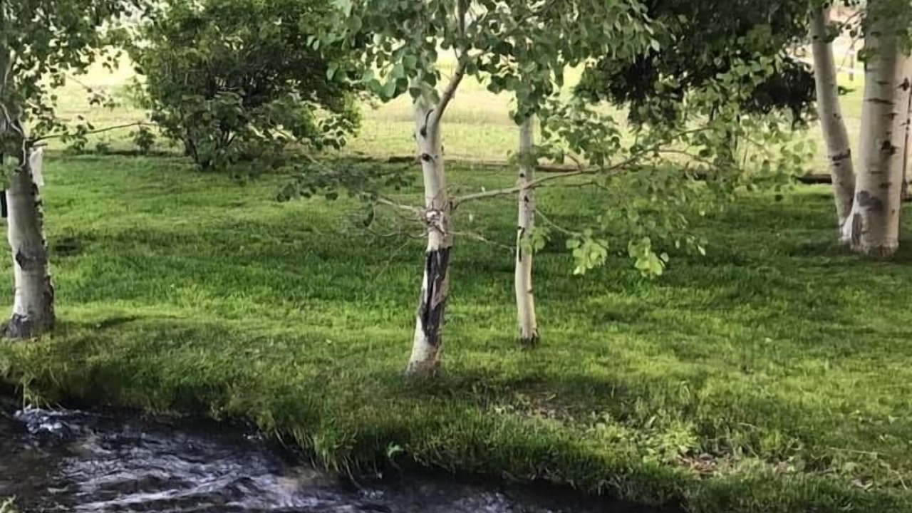 Photo of Others in Hailey