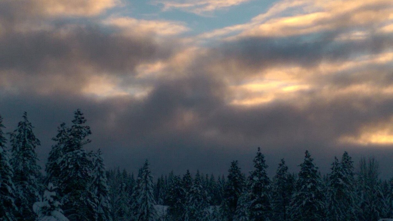 Photo of Others in White Salmon
