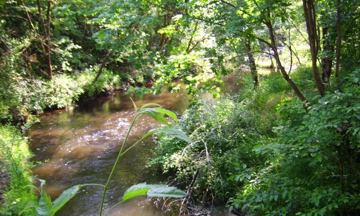 Photo of Others in Curtis