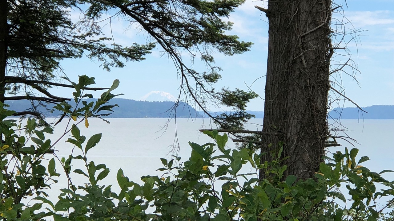 Photo of Others in Camano Island