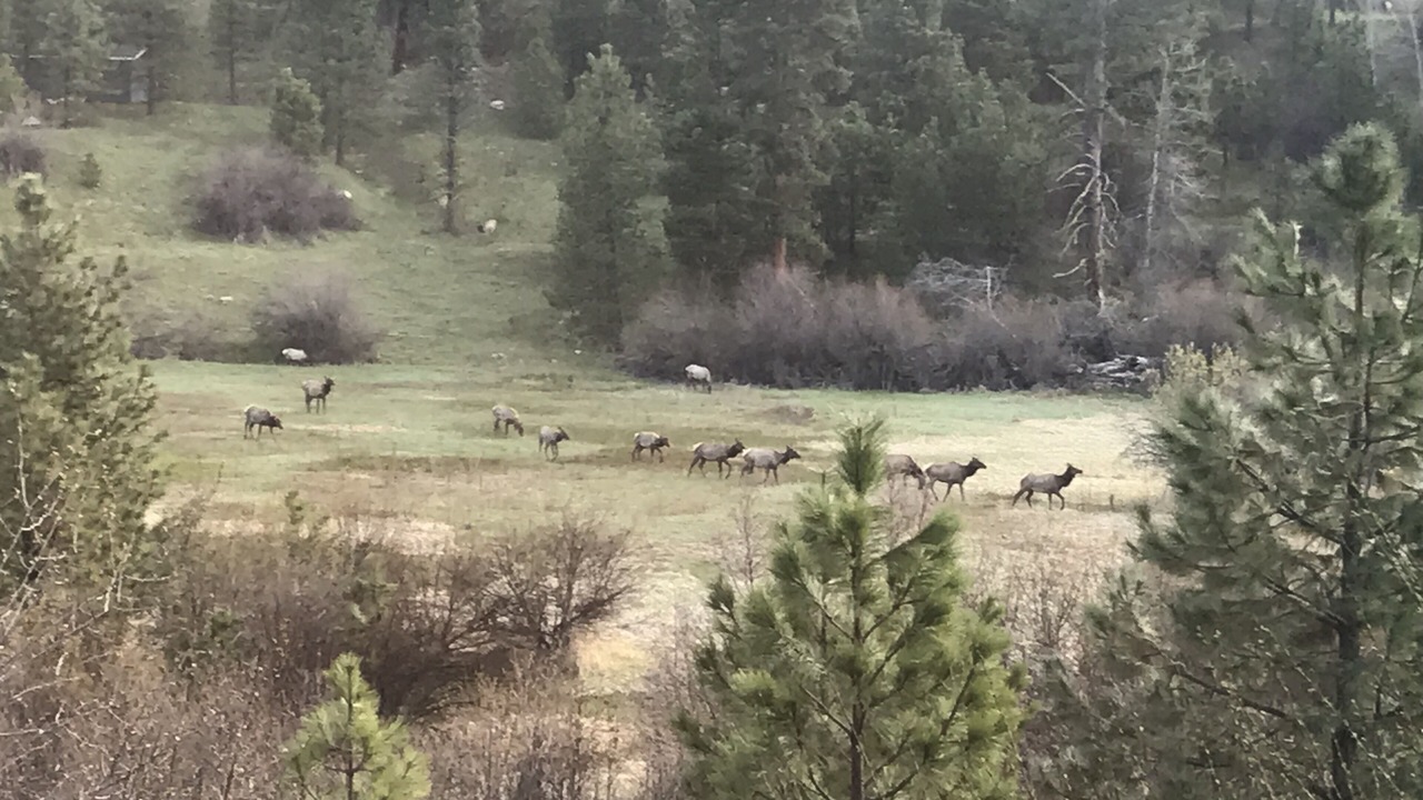 Photo of Others in Garden Valley