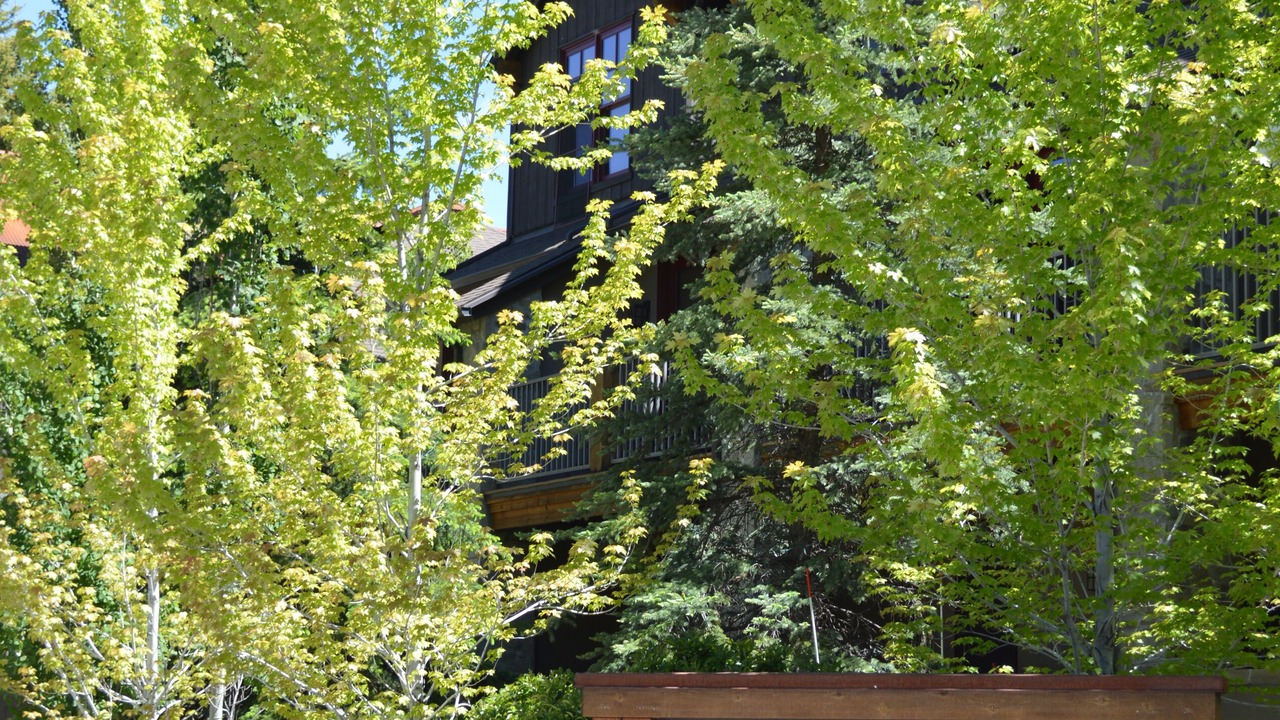 Photo of Outdoor in Ketchum