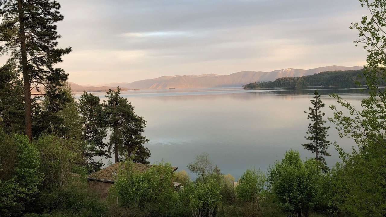 Photo of Others in Sandpoint
