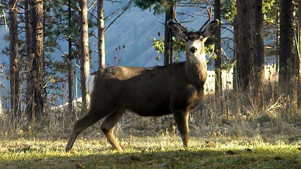 Photo of Others in Troy