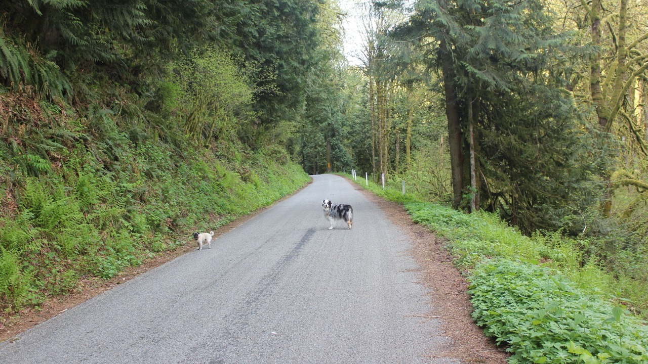 Photo of Others in Deming