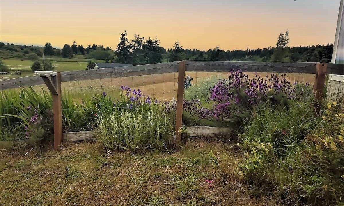 Photo of Others in Sequim