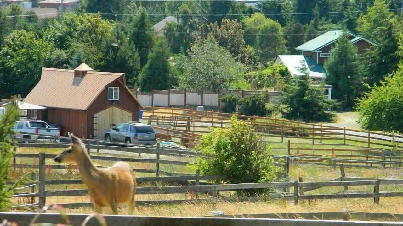 Photo of Others in Sequim