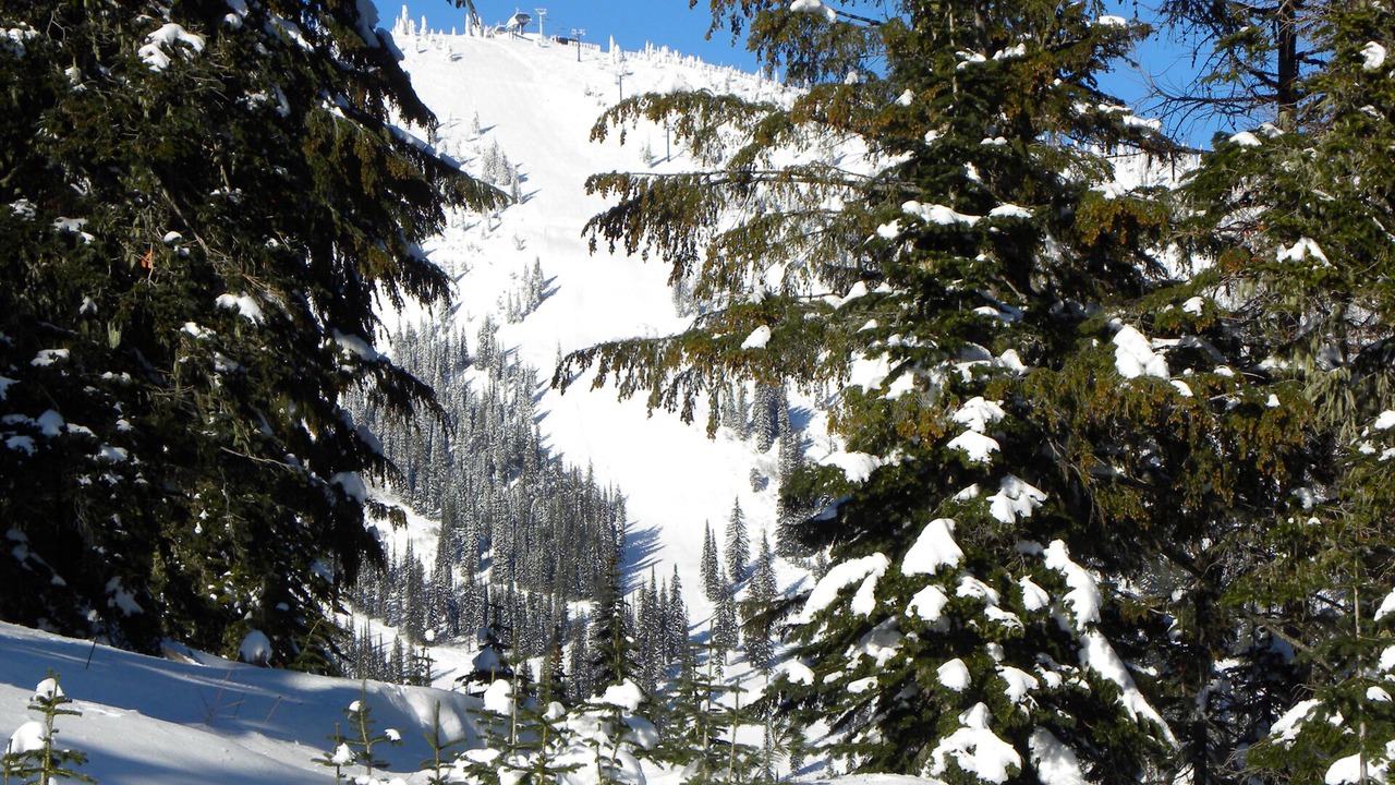 Photo of Others in Sandpoint