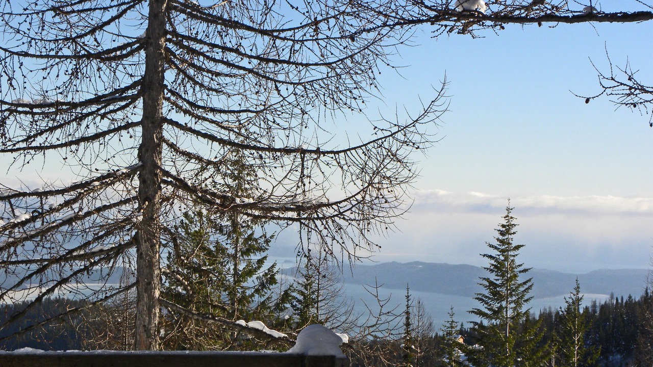 Photo of Others in Sandpoint