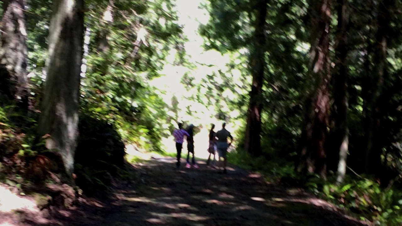 Photo of Others in Anacortes