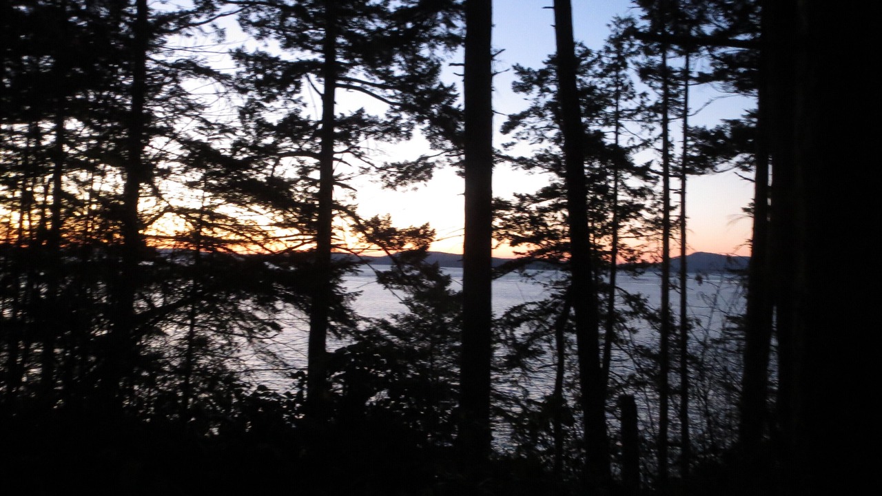 Photo of Others in Anacortes
