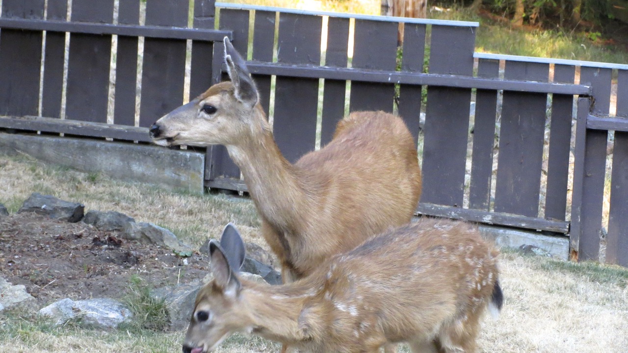 Photo of Others in Anacortes