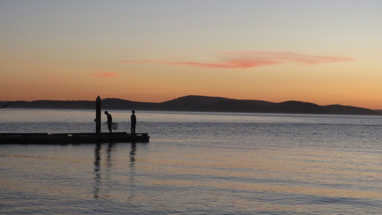 Photo of Others in Anacortes