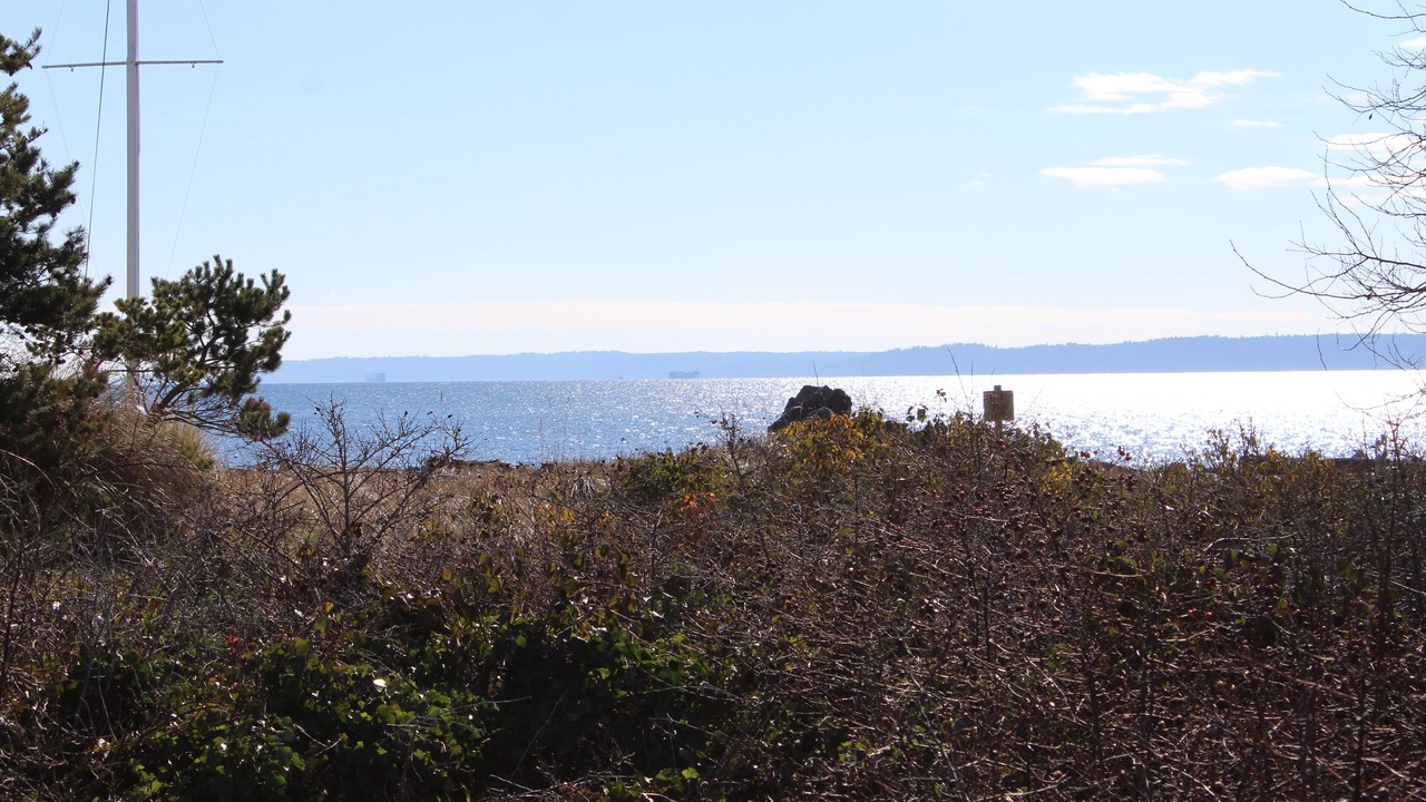Photo of Others in Sunlight Beach