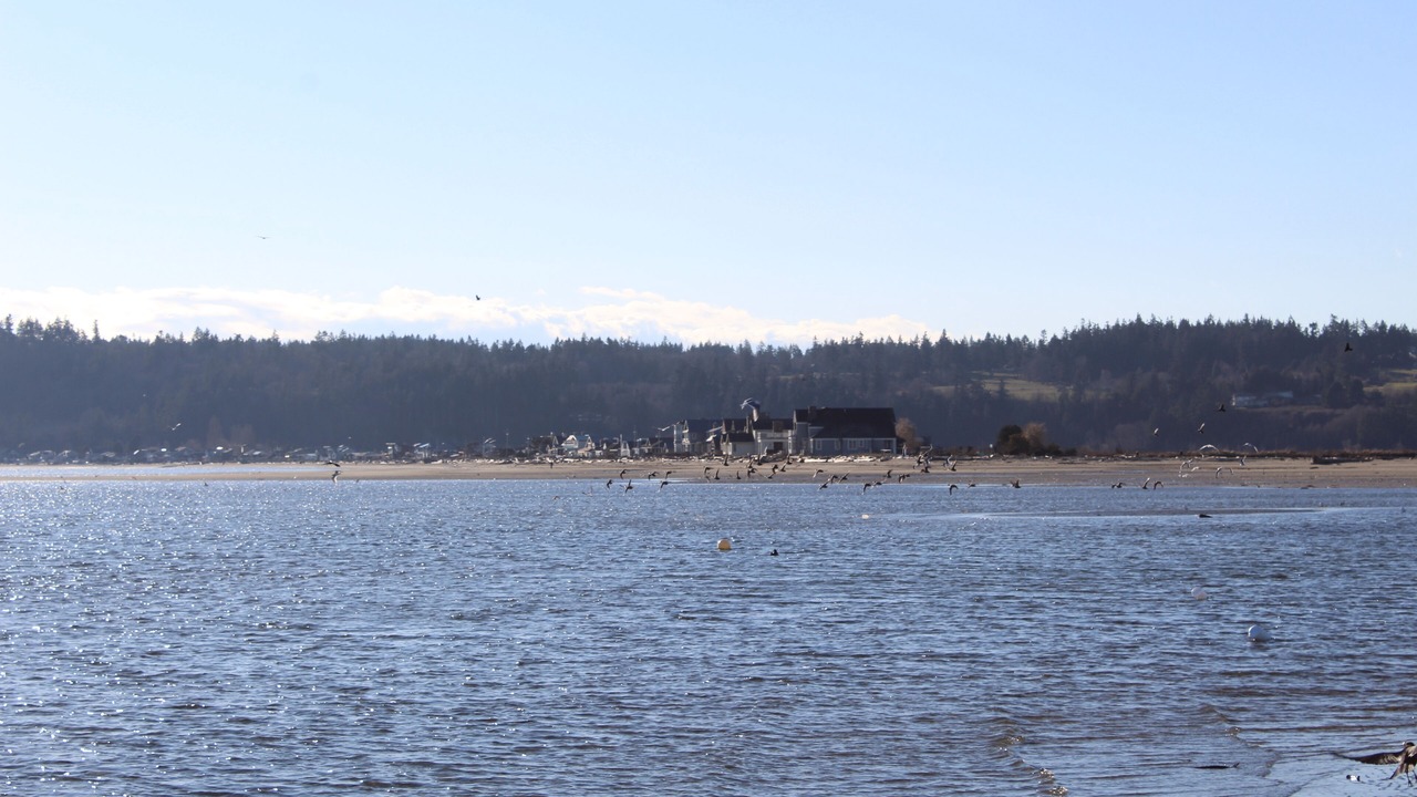 Photo of Others in Sunlight Beach