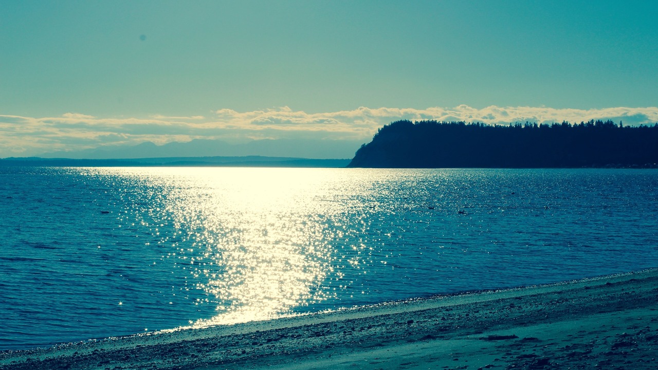 Photo of Others in Sunlight Beach