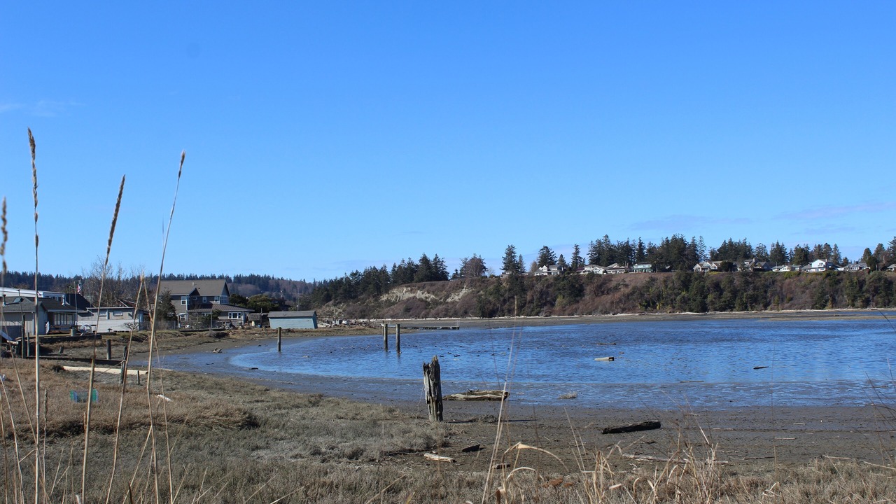 Photo of Others in Sunlight Beach
