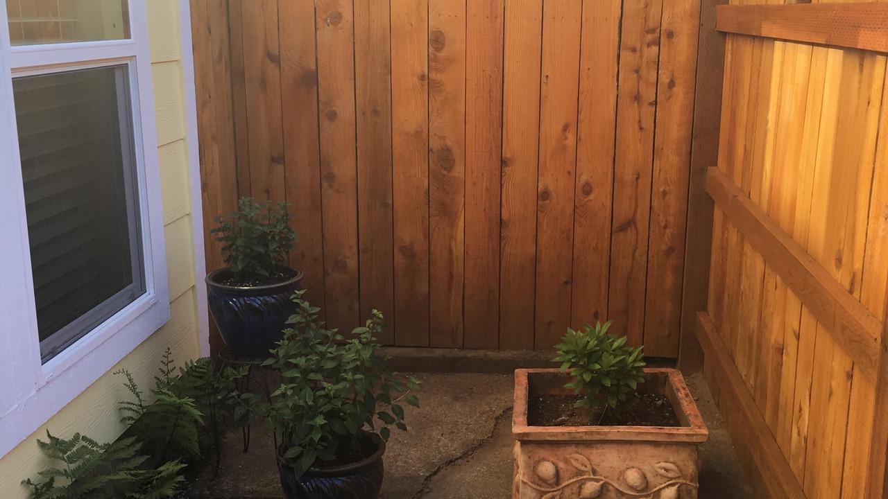 Photo of Outdoor in Woodstock