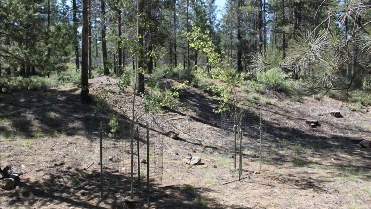 Photo of Others in Sunriver