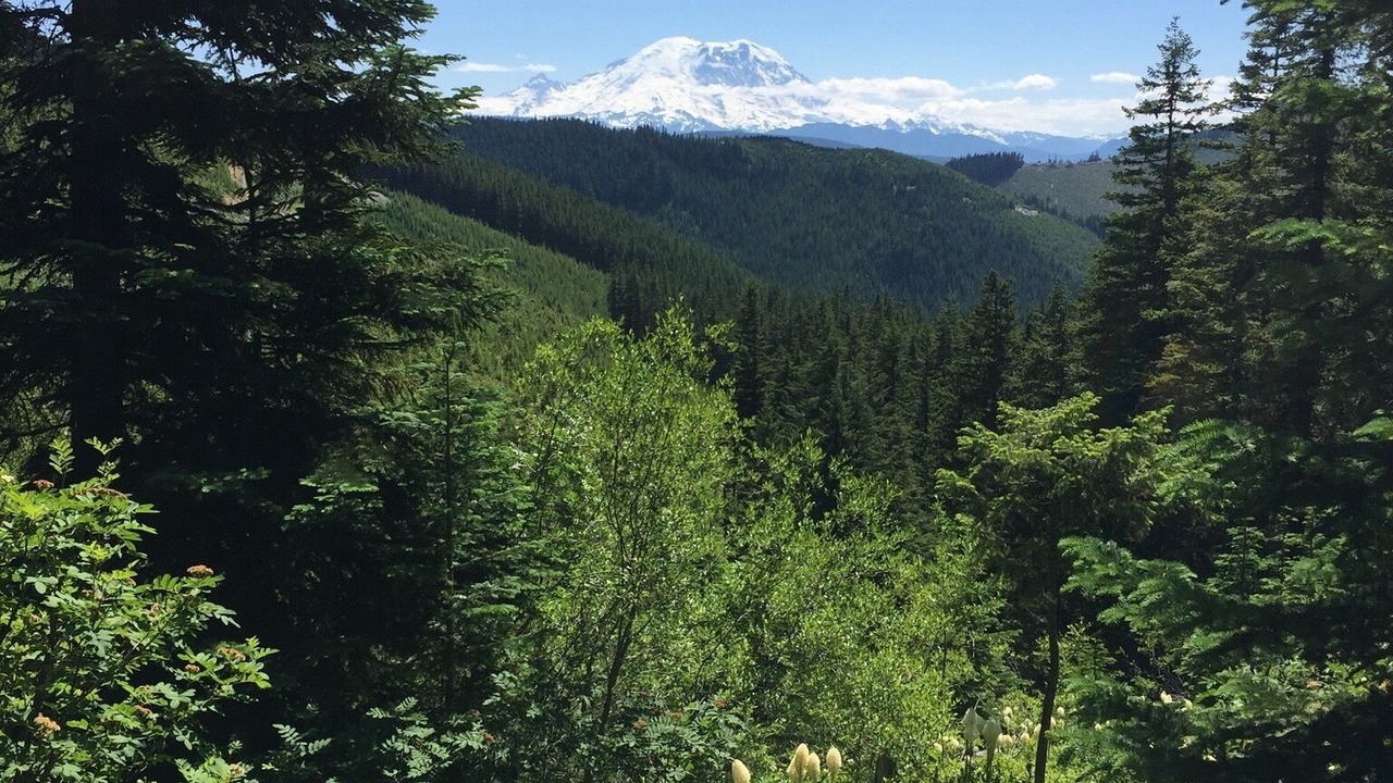 Photo of Others in Enumclaw