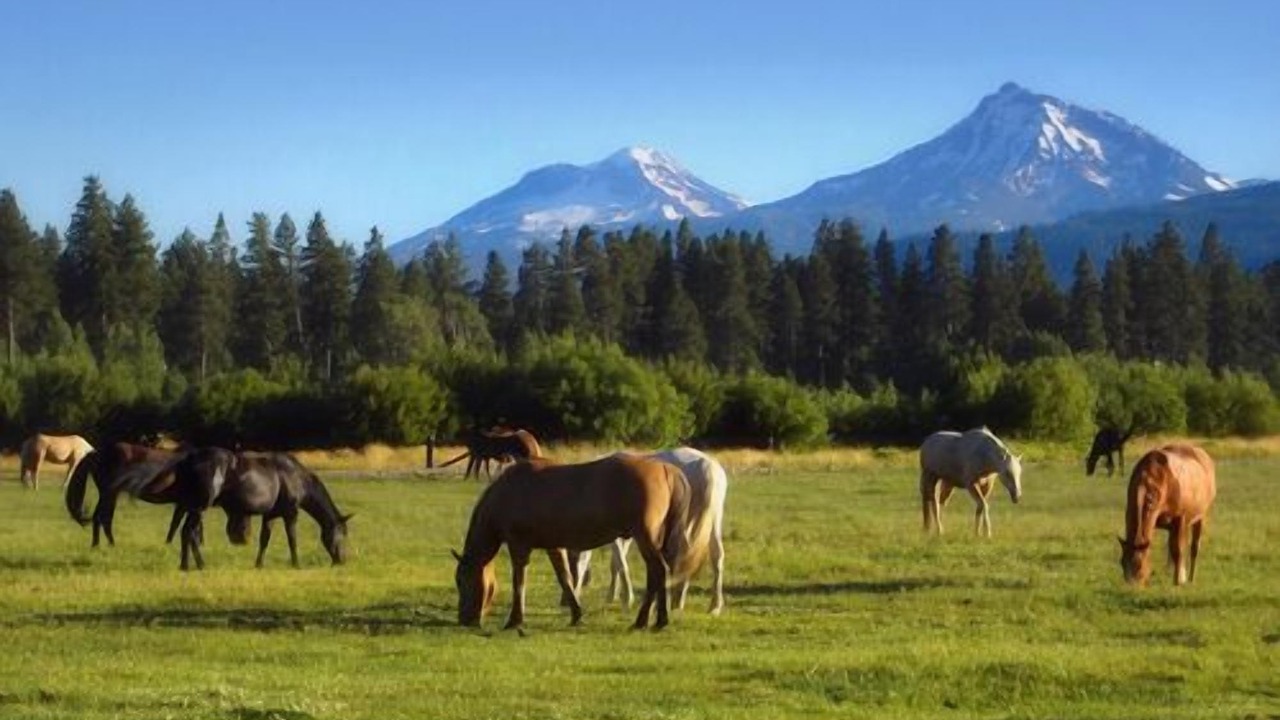 Photo of Others in Black Butte Ranch