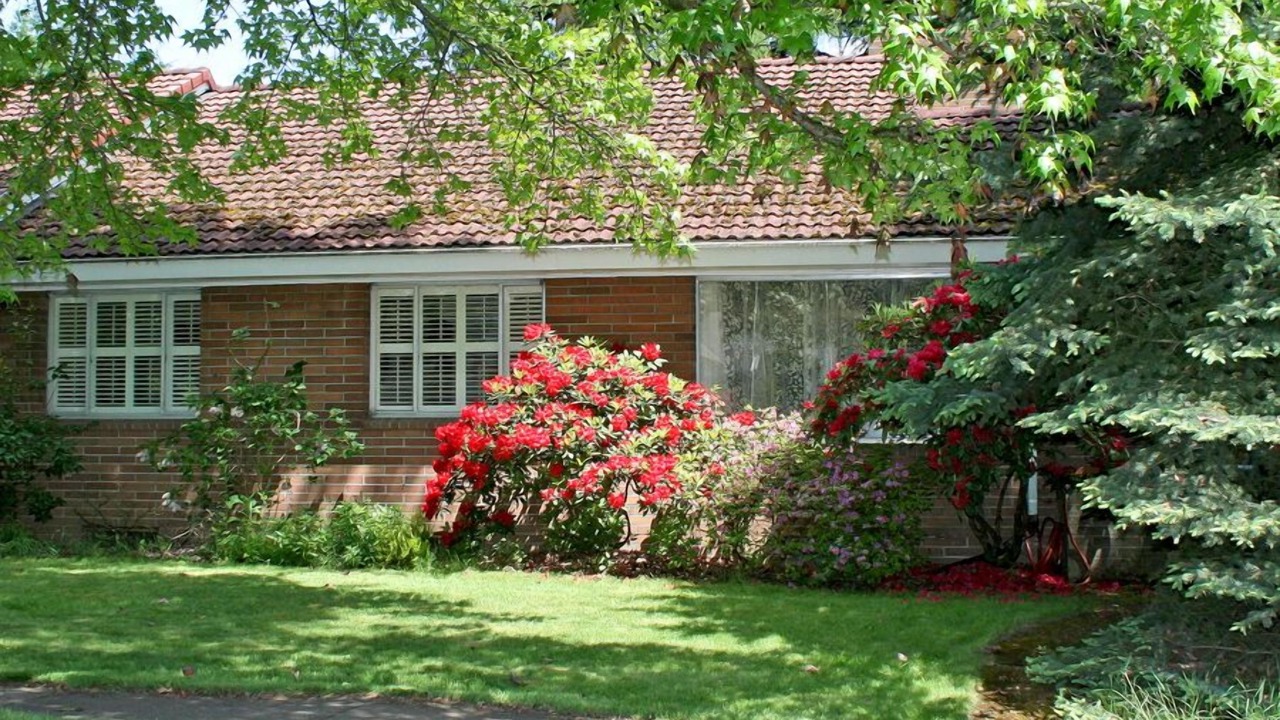 Photo of Outdoor in Belmont