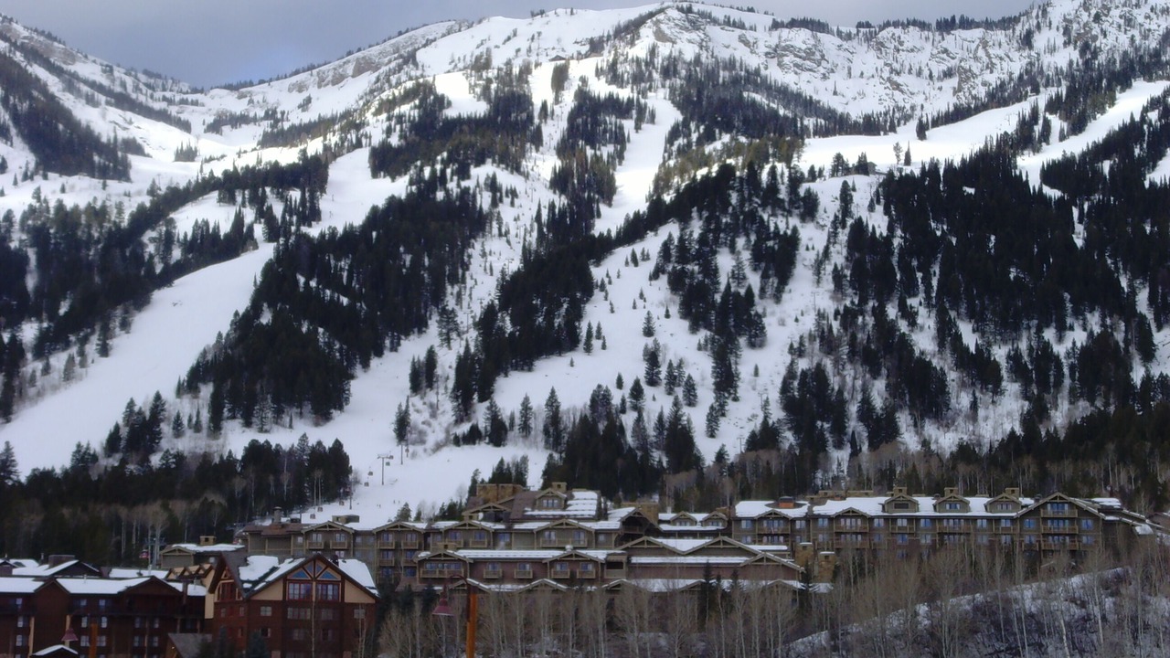 Photo of Others in Moose Wilson Road