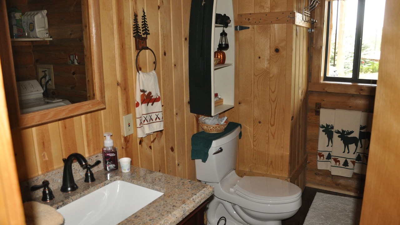 Photo of Bathroom in Island Park