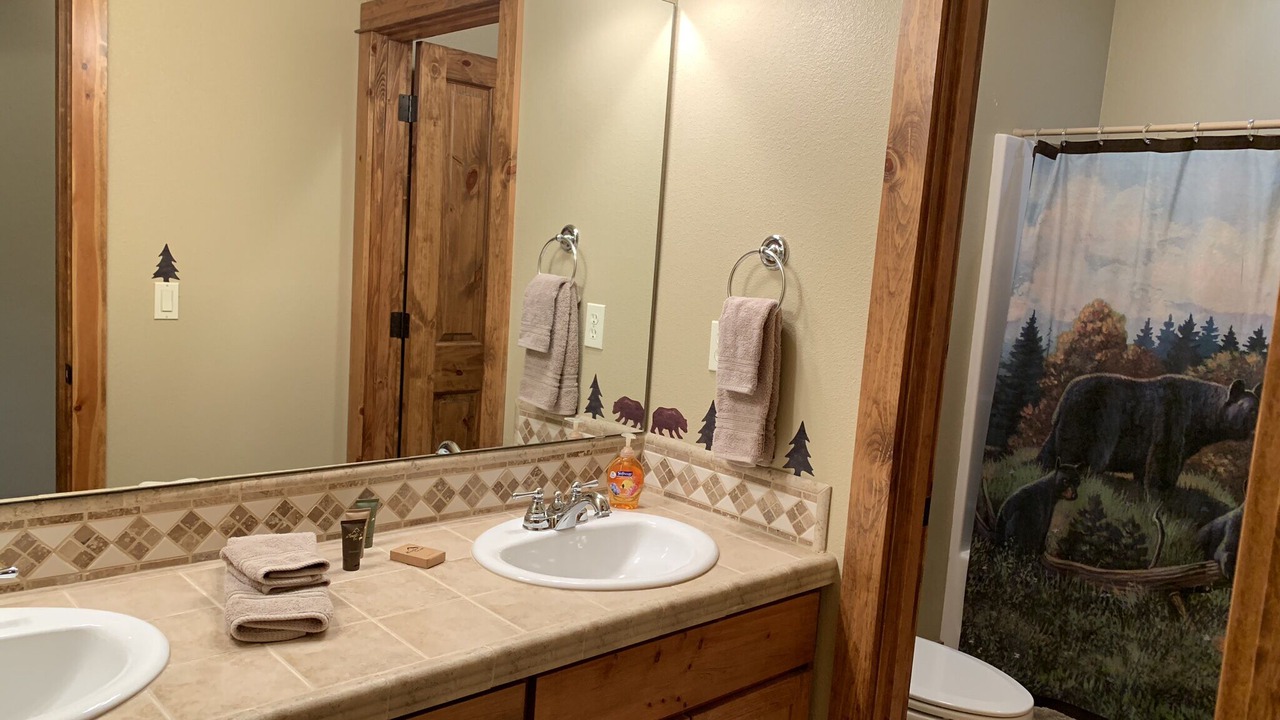 Photo of Bathroom in Three Rivers
