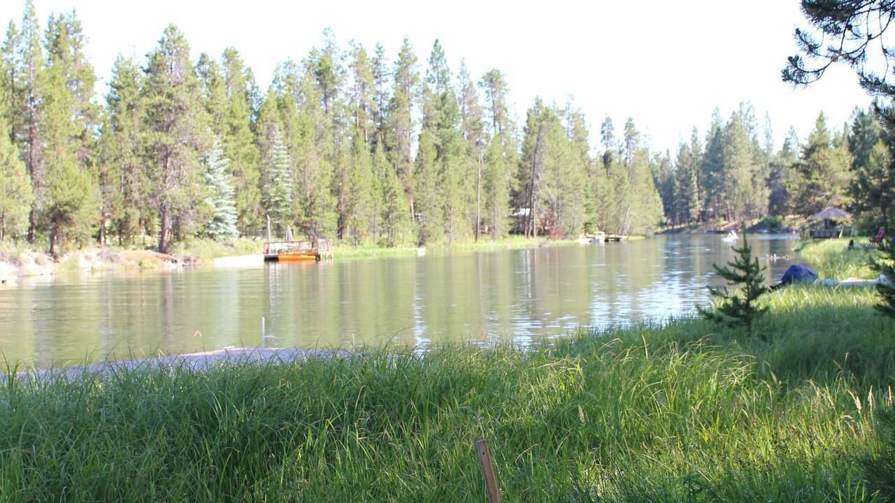 Photo of Others in Three Rivers