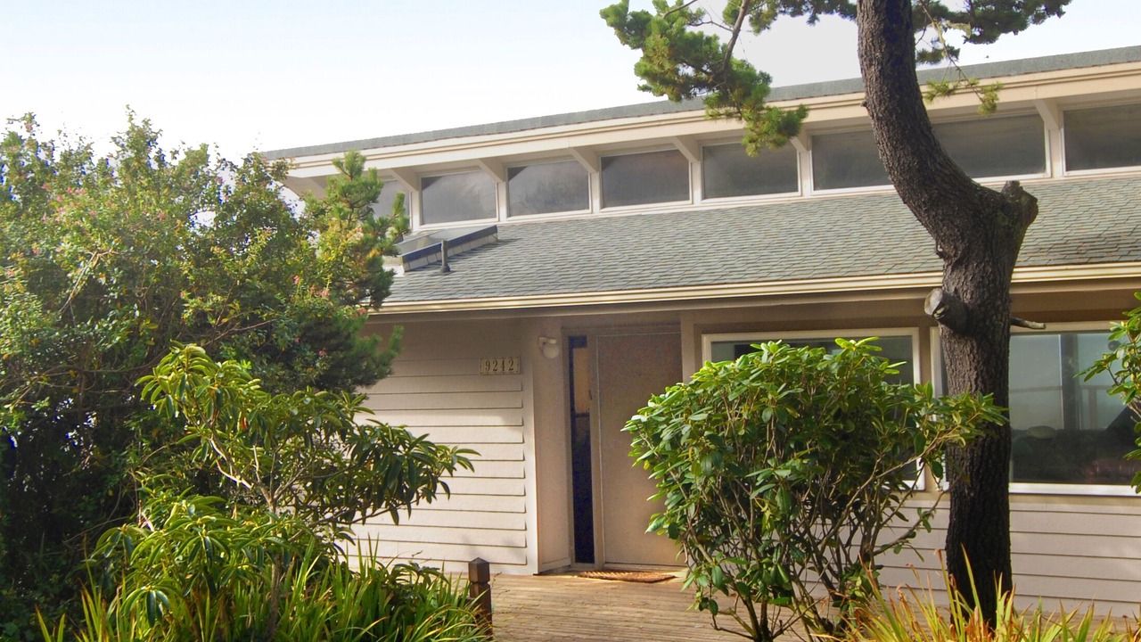 Photo of Outdoor in Seal Rock