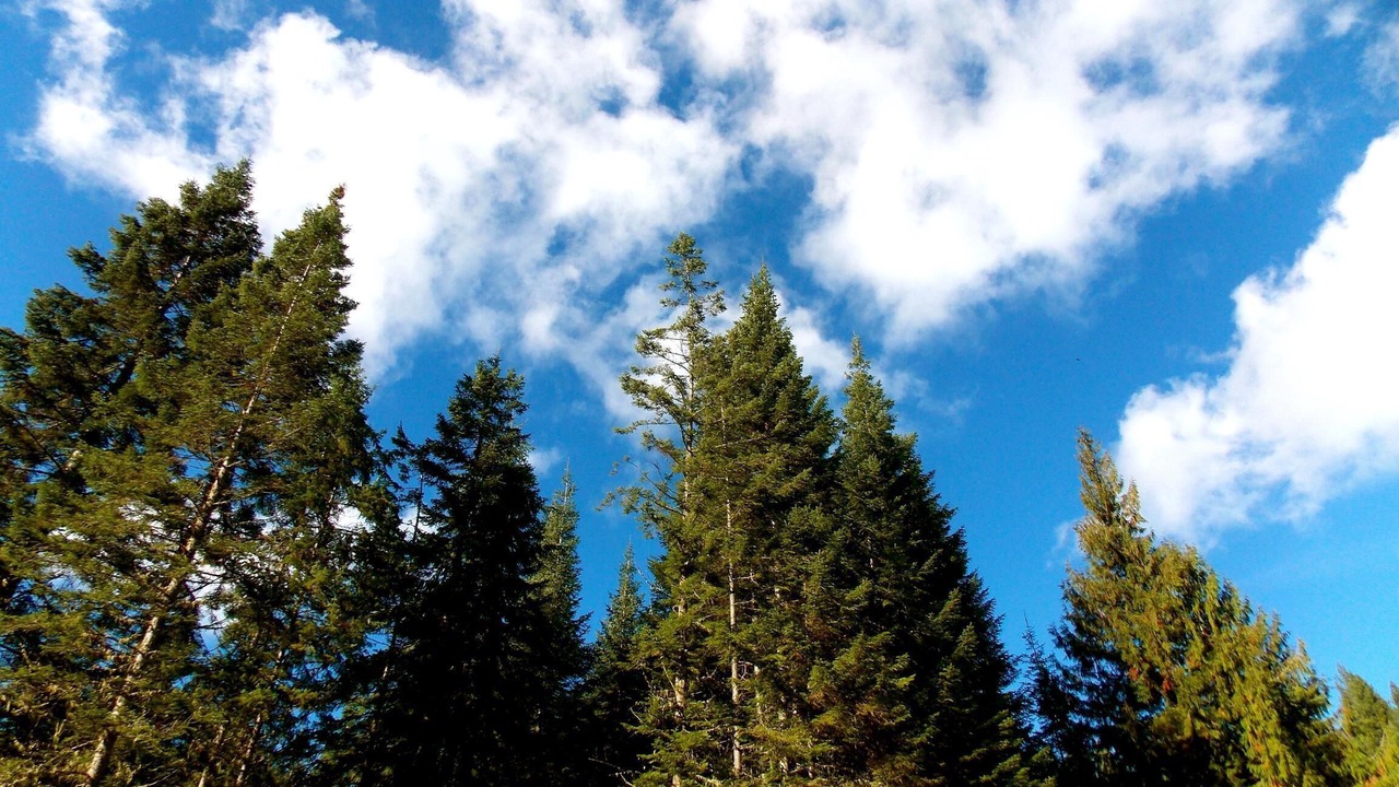 Photo of Others in Idaho County