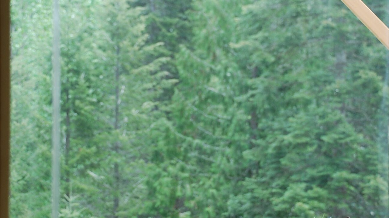 Photo of Others in Idaho County