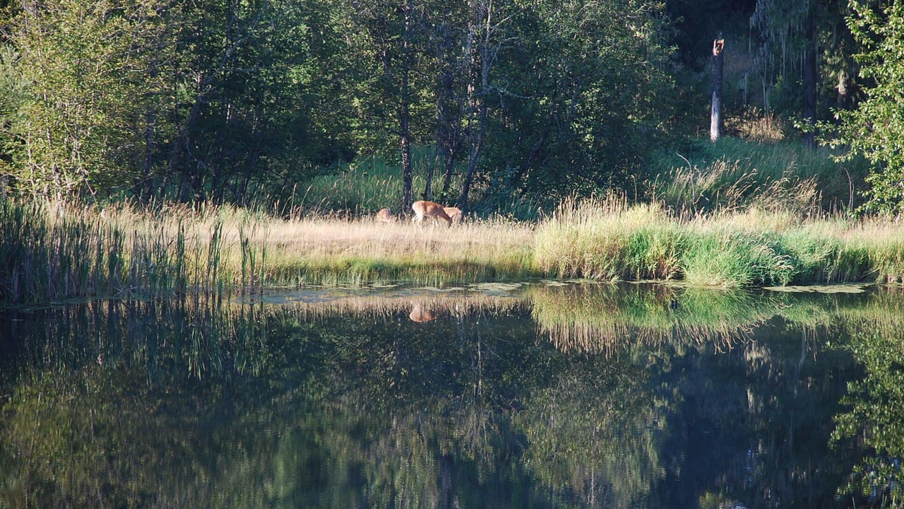 Photo of Others in Idaho County