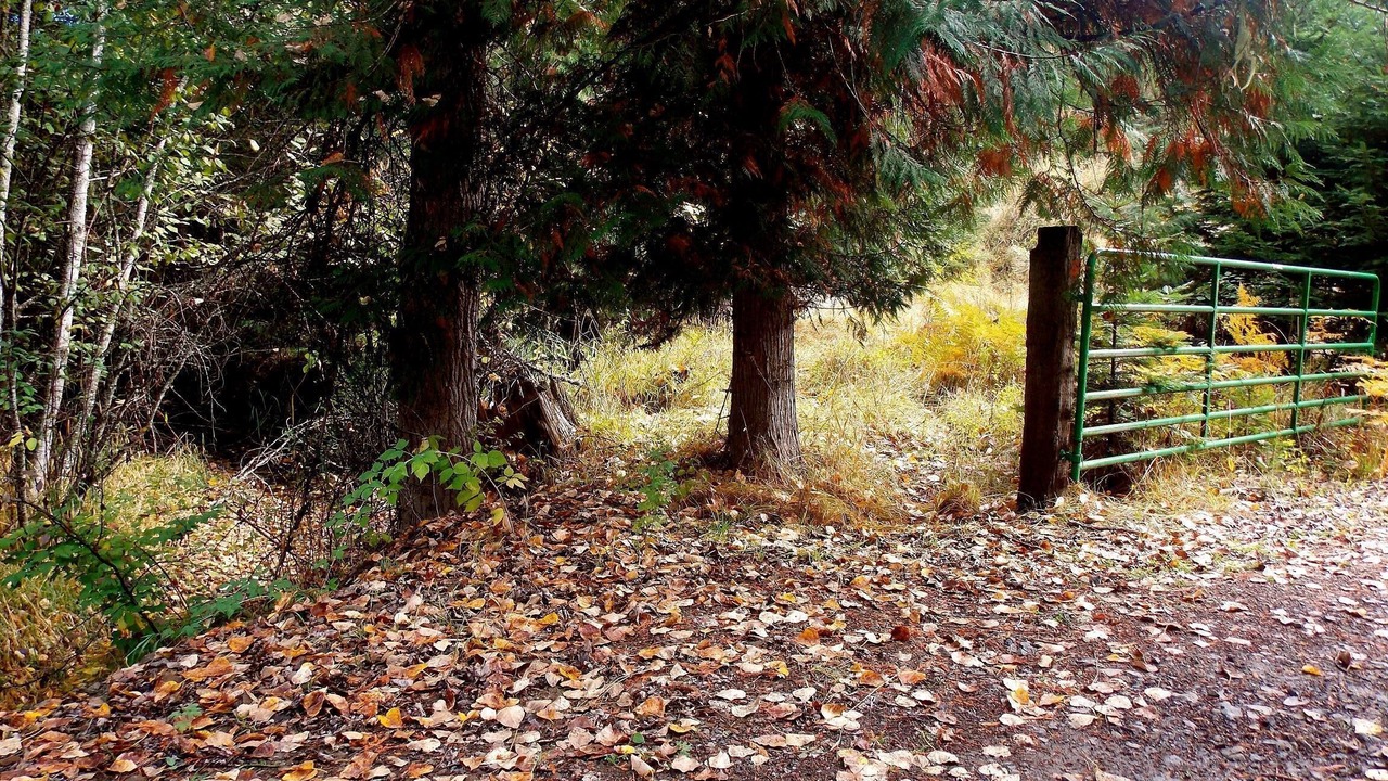 Photo of Others in Idaho County