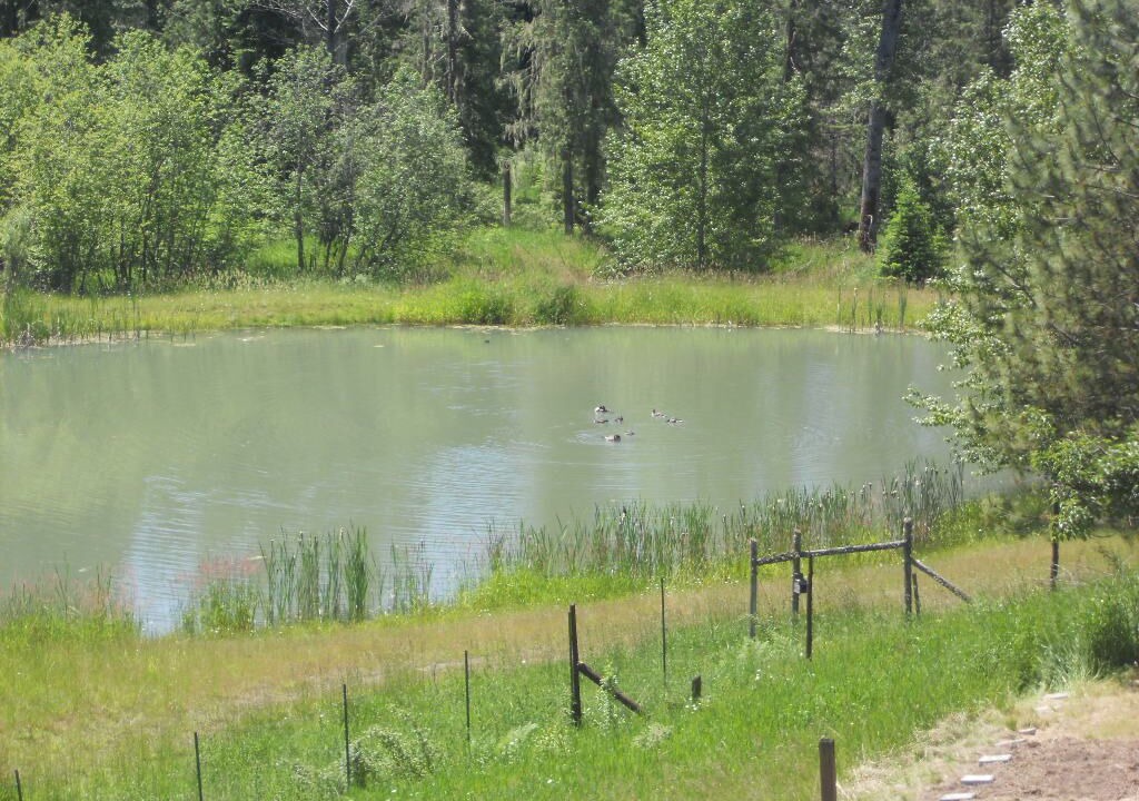 Photo of Others in Idaho County
