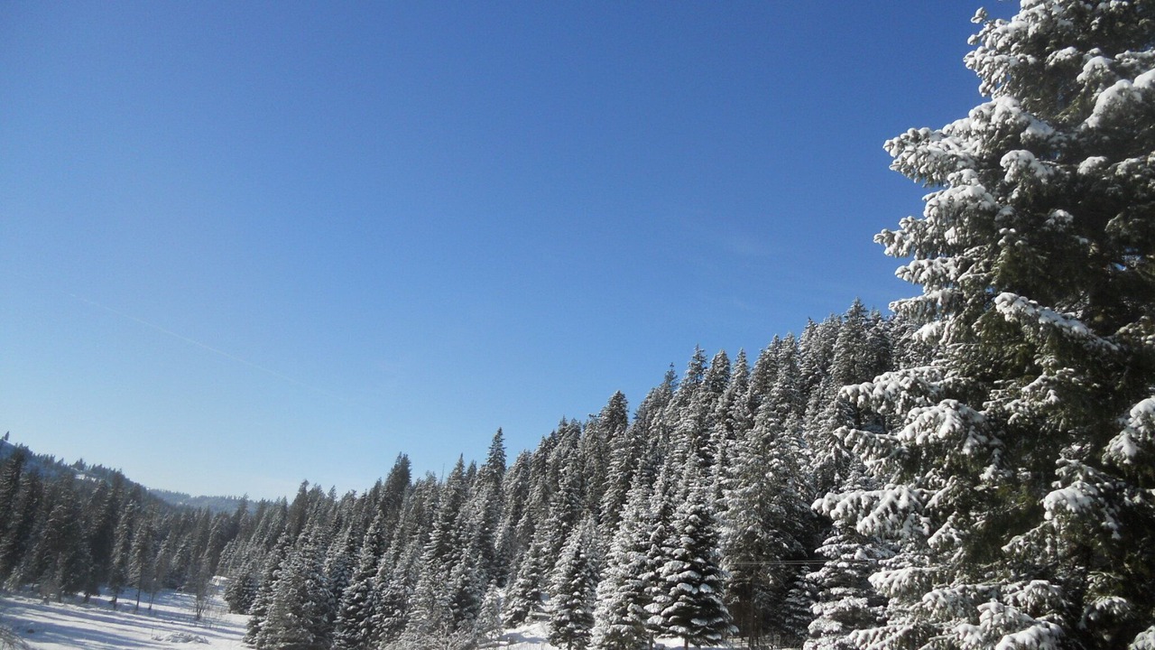Photo of Others in Idaho County