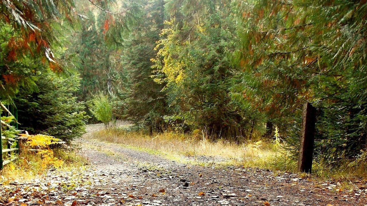 Photo of Others in Idaho County