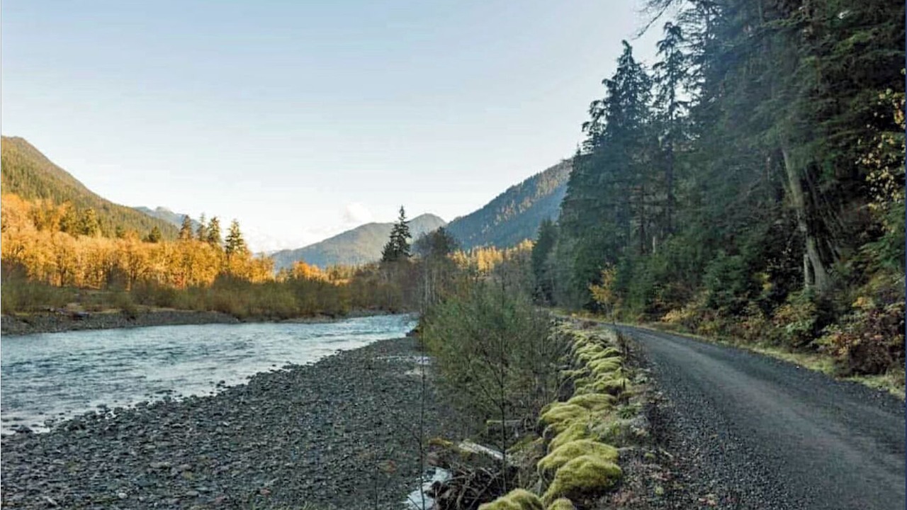 Photo of Others in Quinault