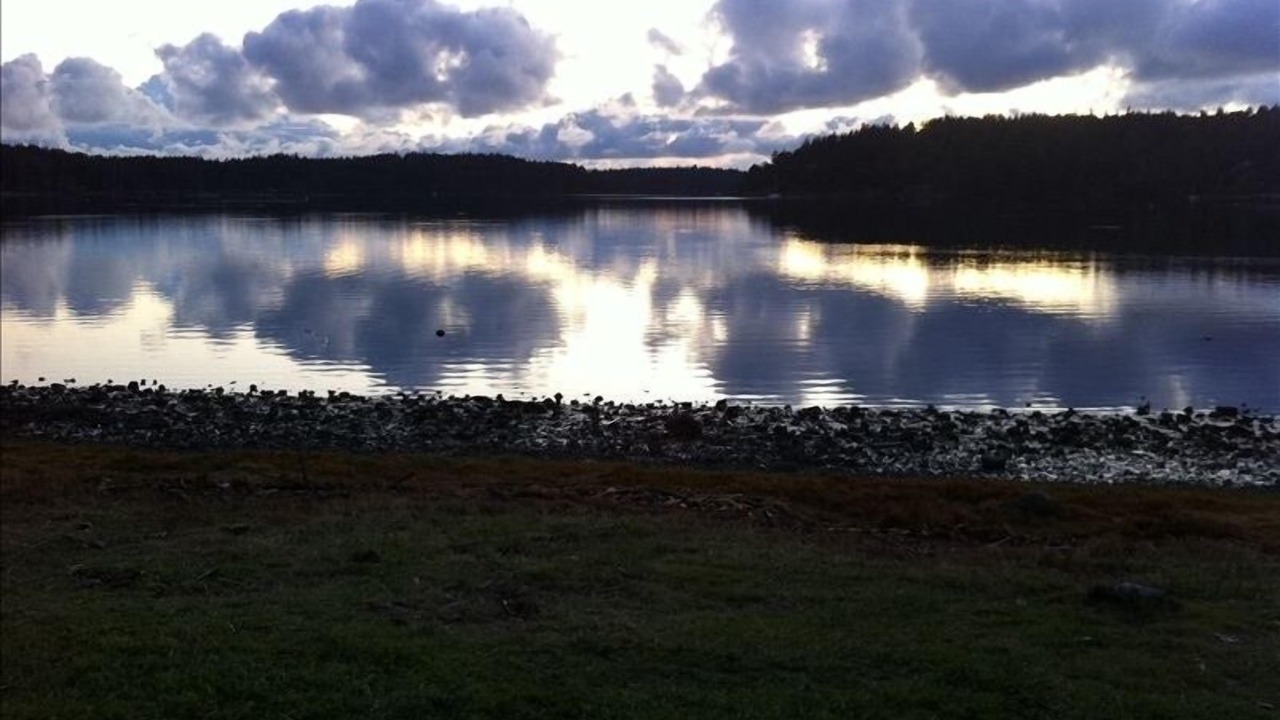 Photo of Others in Roche Harbor