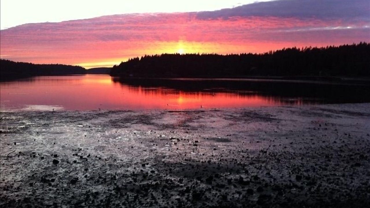 Photo of Others in Roche Harbor